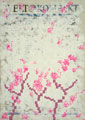 Detailansicht: Kirschblüten