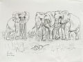 Detailansicht: Elefanten