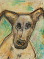 Detailansicht: Braver Hund