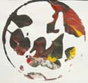 Detailansicht: Experiment 1-25